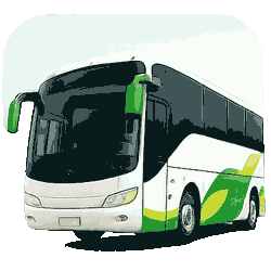bus