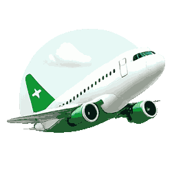 flight